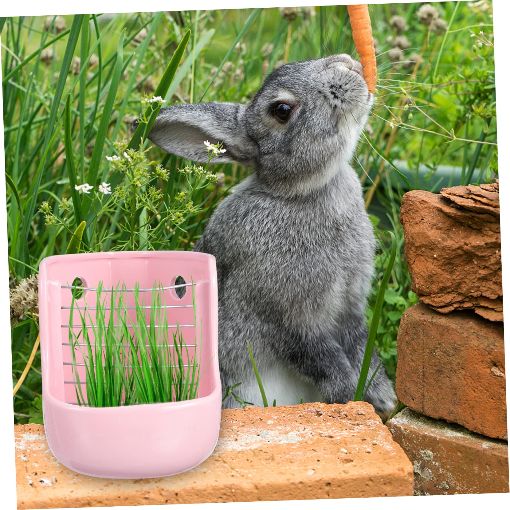 Hohopeti Mangiatore Ceramico per Conigli e Cavie Supporto per Fieno Stabile per Gabbia, Alimentatore per Piccoli Animali Installazione Facile e Personalizzabile