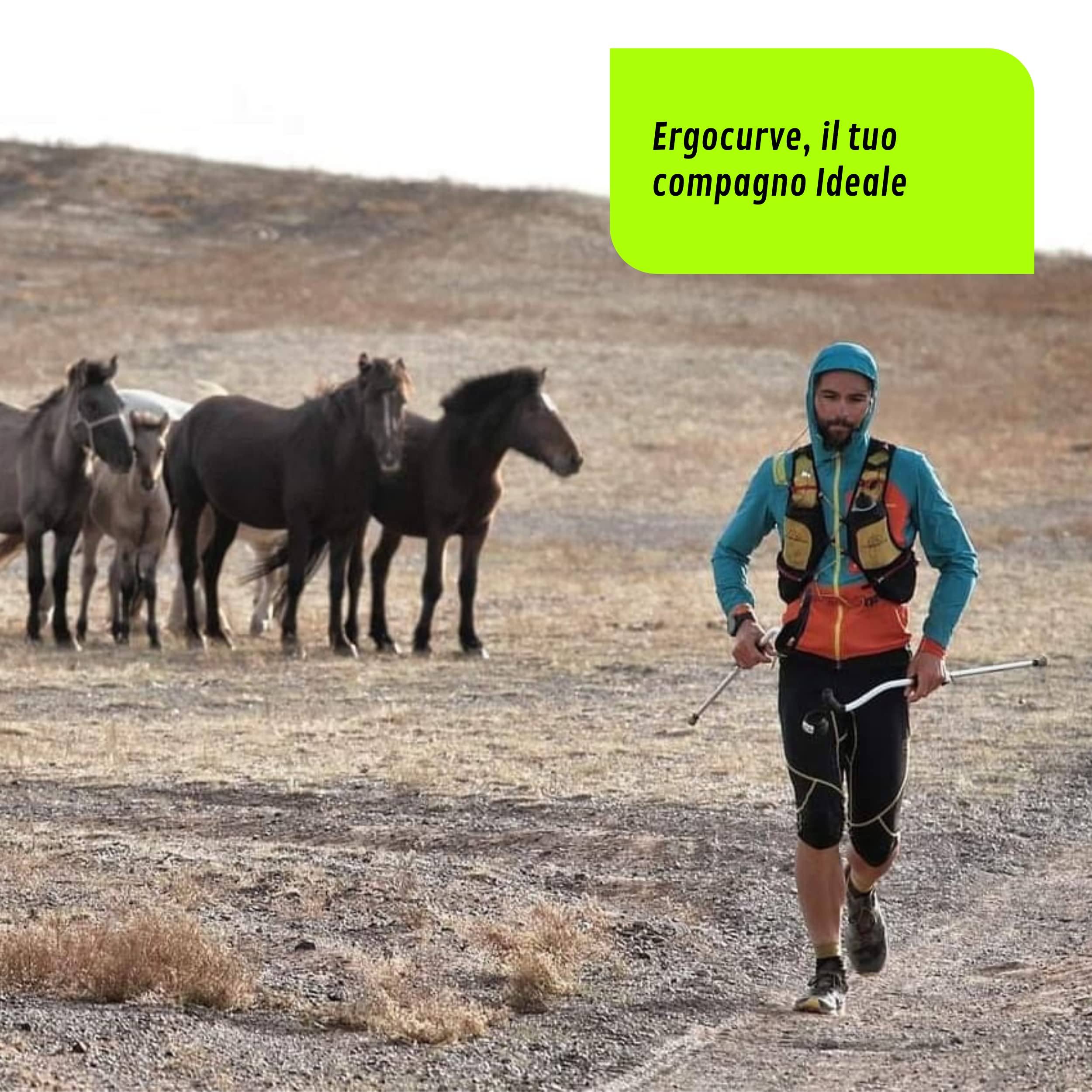 N&W CURVE | Teleskopische Trekkingstöcke Ergocurve 600 SkyRace mit verstellbarer Stange Trekkingstöcke - Trail Running - Ultra Trail - Vertical Race - Made in Italy