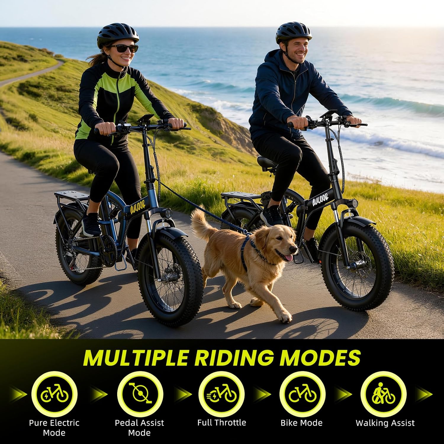 bluebiko 1000W Folding Electric Bike, 48V 20AH Large Removable Battery E Bike, 30+MPH, 80 Miles Max Range, 20" Fat Tire Electric Bike for Adults, Adult Electric Bicycles for Commute Beach Snow