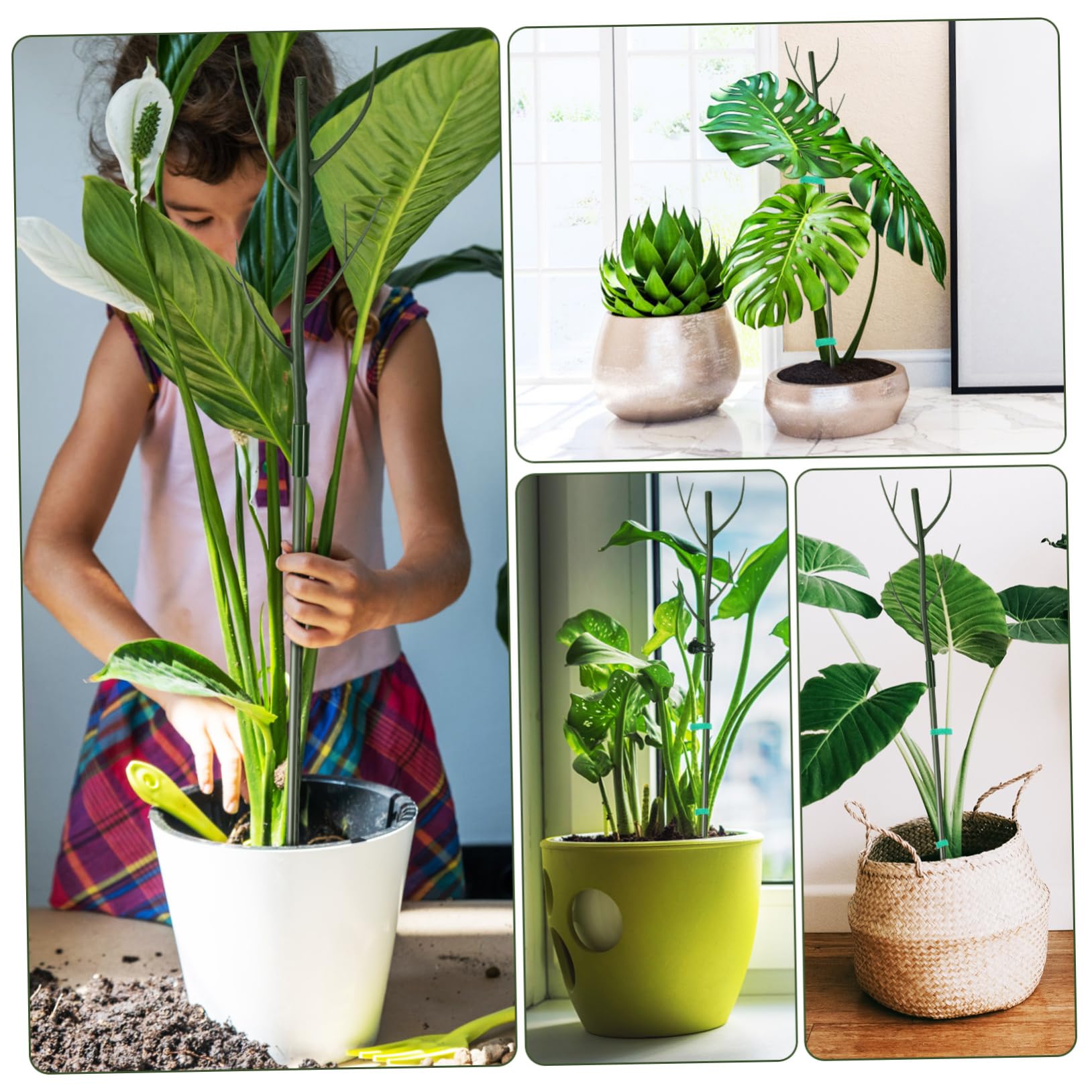 Mikikit Tuteur Plastique Support Extensible, en Vert 1 Set Clips, Attaches pour Plantes Grimpantes, pour Intérieur et Jardin