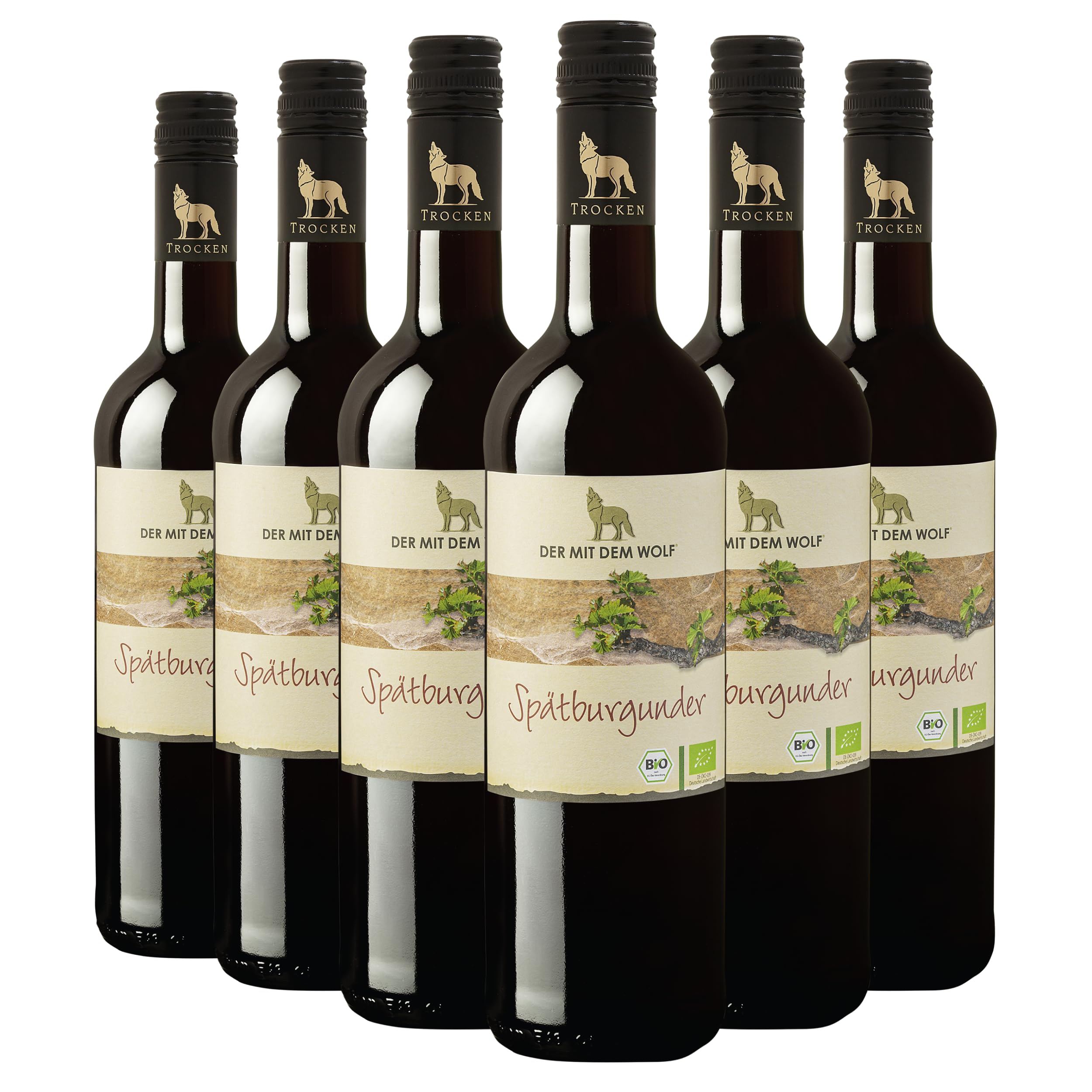Wolfenweiler Bio Spätburgunder trocken - Rotwein trocken im dunklen rot, samtige Kirscharomen, gut eingebundene Tannine, QbA Qualitätswein aus Baden (6 x 0,75l)