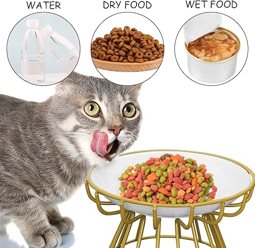 Vista 26 de BNOSDM 2 cuencos elevados de comida para gatos, platos de cerámica poco profundos para gatos con soportes de metal, comedero elevado para mascotas