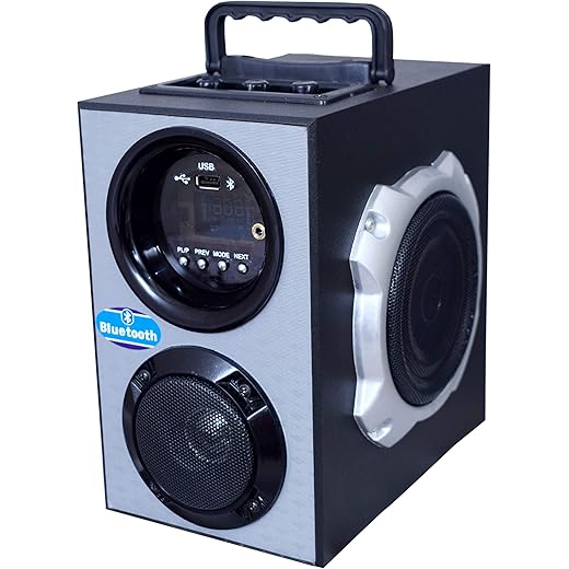 Palco M1200 Bluetooth AUX FM USB Multimedia Floor Standing T