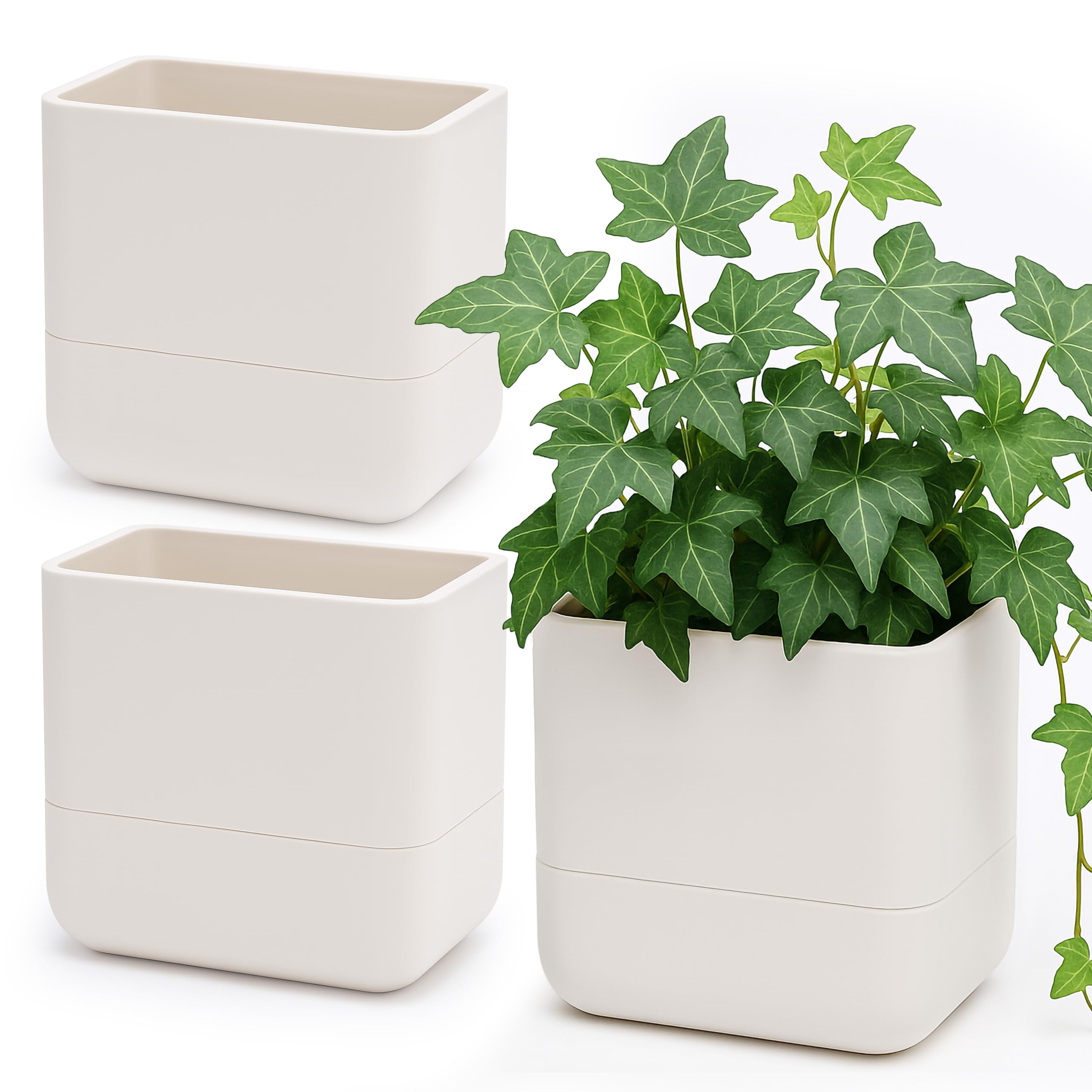 Phoenix Vine Wall Mounted Self-Watering Planter Set of 3