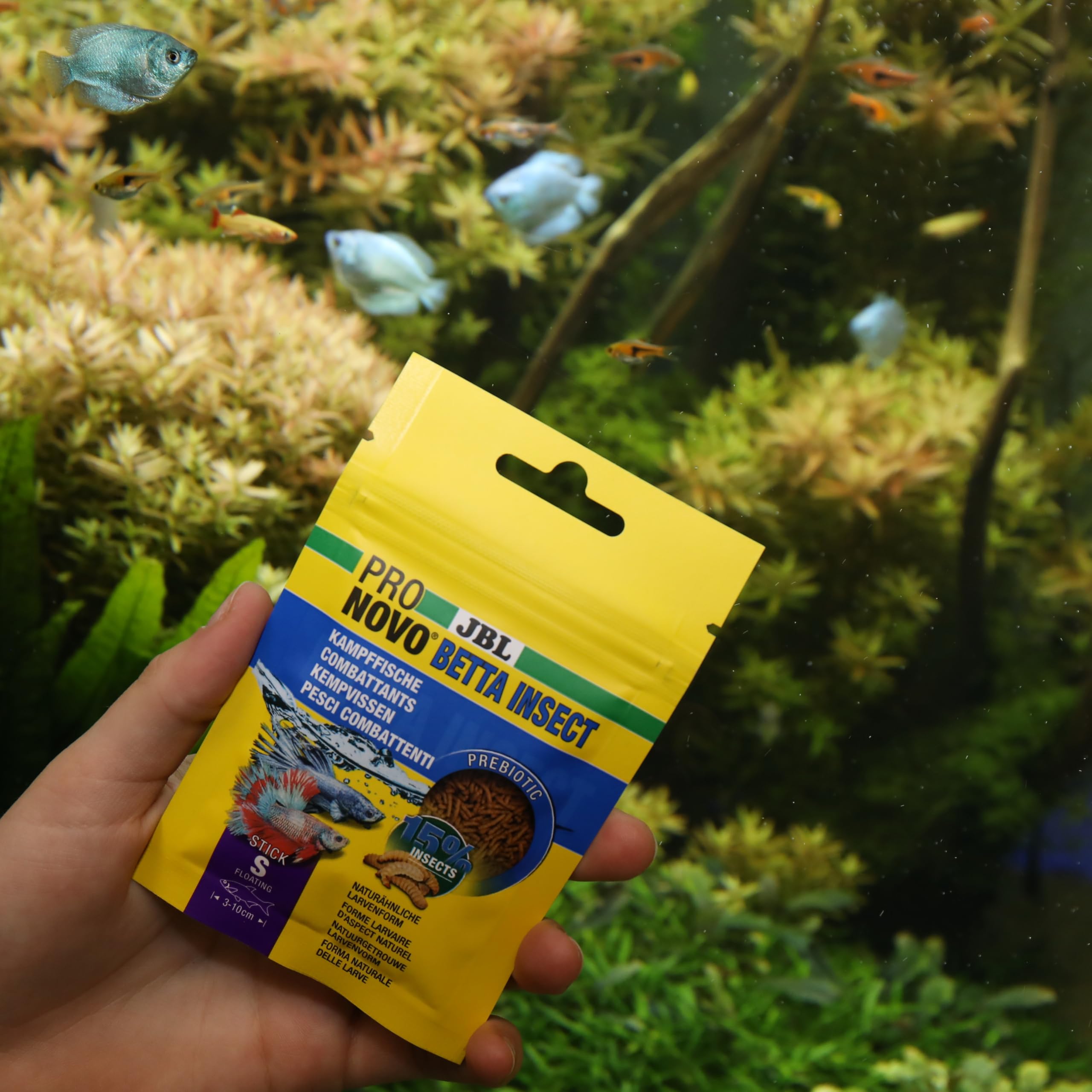 JBL PRONOVO BETTA INSECT Stick, karma dla ryb bojowych 3-10 cm, pałeczki do karmy dla ryb, rozmiar S, 20 ml