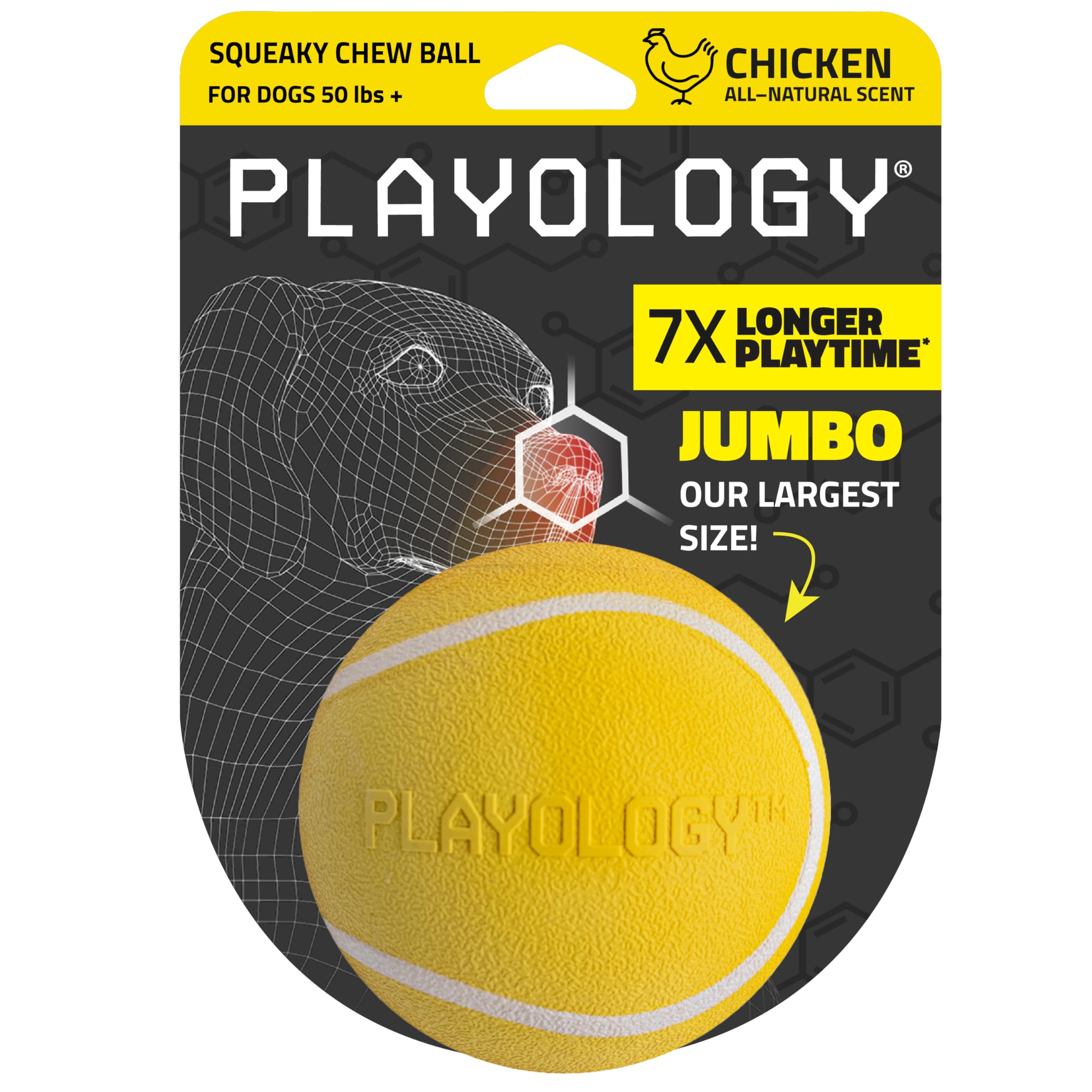 Playology Dog Toys | Squeaky Chew Ball - Bouncy Durable Floating Fetch Ball for Dogs | Jumbo Chicken Scented Toy - Easy to Clean and Made from Non Toxic Materials