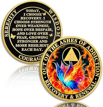 Butterfly in the Fire 15 Year Sobriety Coin Recovery and Renewal Fifteen Year Sobriety Chip AA Chips and Medallion AA Coin Recovery Chip Sobriety Gifts for Men Women Alcoholics Anonymous Gift