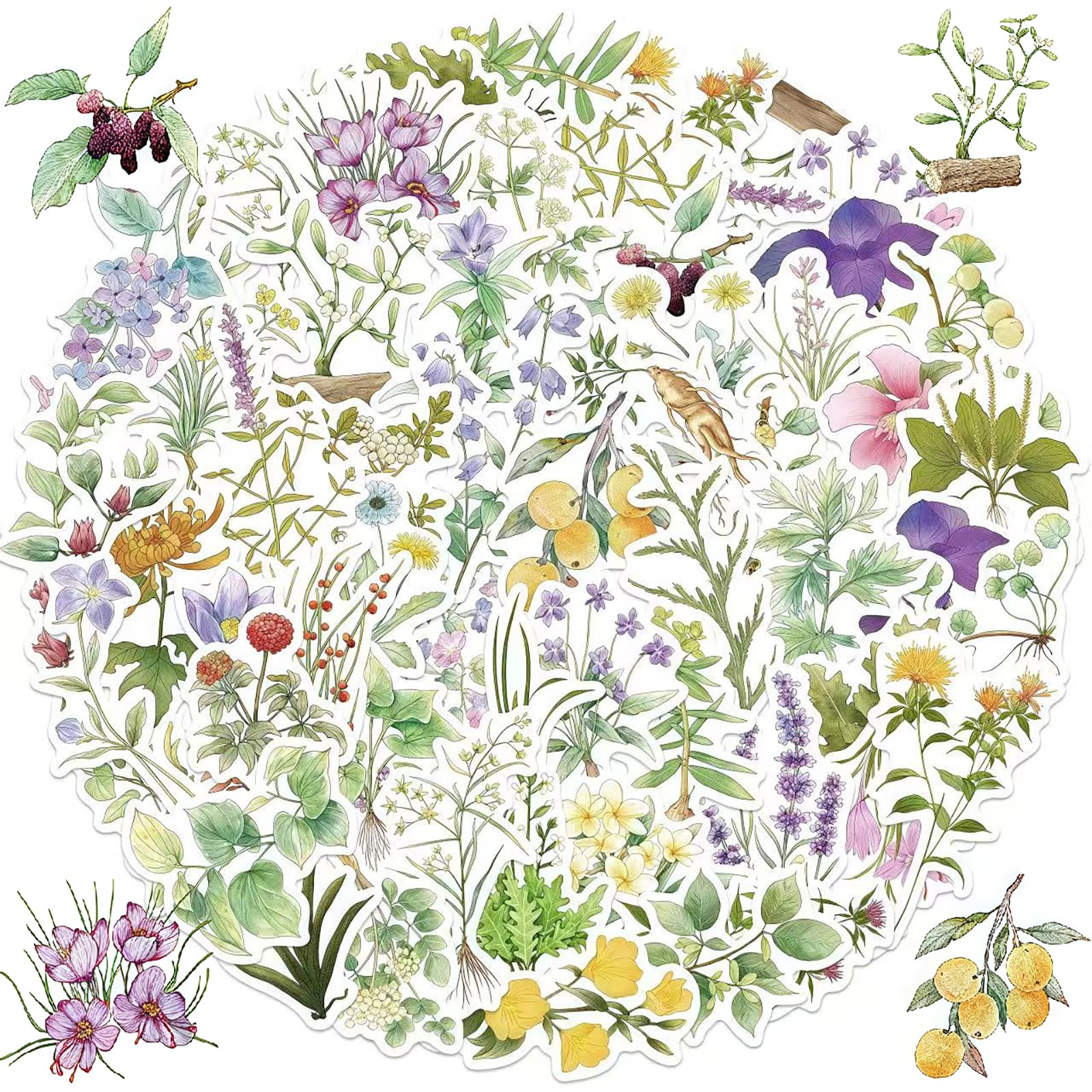 Floral Stickers 50pcs，Plant Stickers, Cartoon Green Leaves Sticker Pack Cute Aesthetic Vinyl Stickers for Laptop, Scrapbooking, Water Bottle, Journal, Nature-Themed Crafts