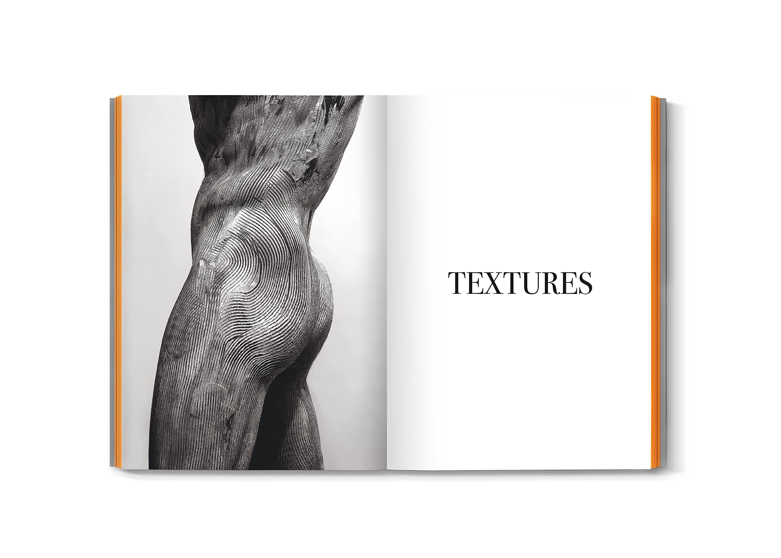 ALSINA TEXTURES