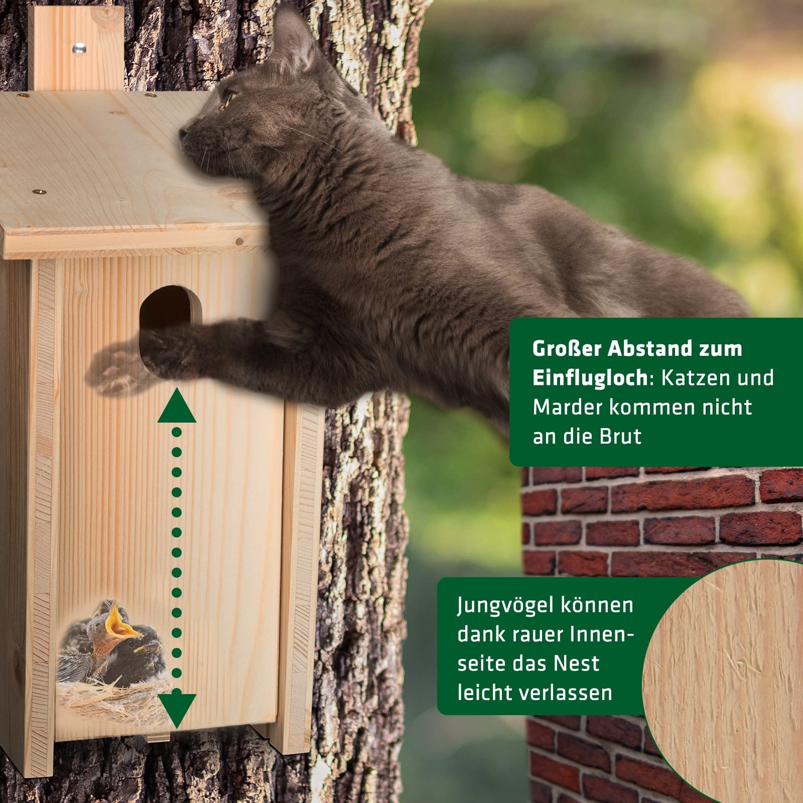 Gardigo Nichoir DIY pour Queue Rouge de Jardin I Kit de Bricolage en Bois d'Épicéa Non Traité et Résistant aux Intempéries I Fabriqué en Allemagne