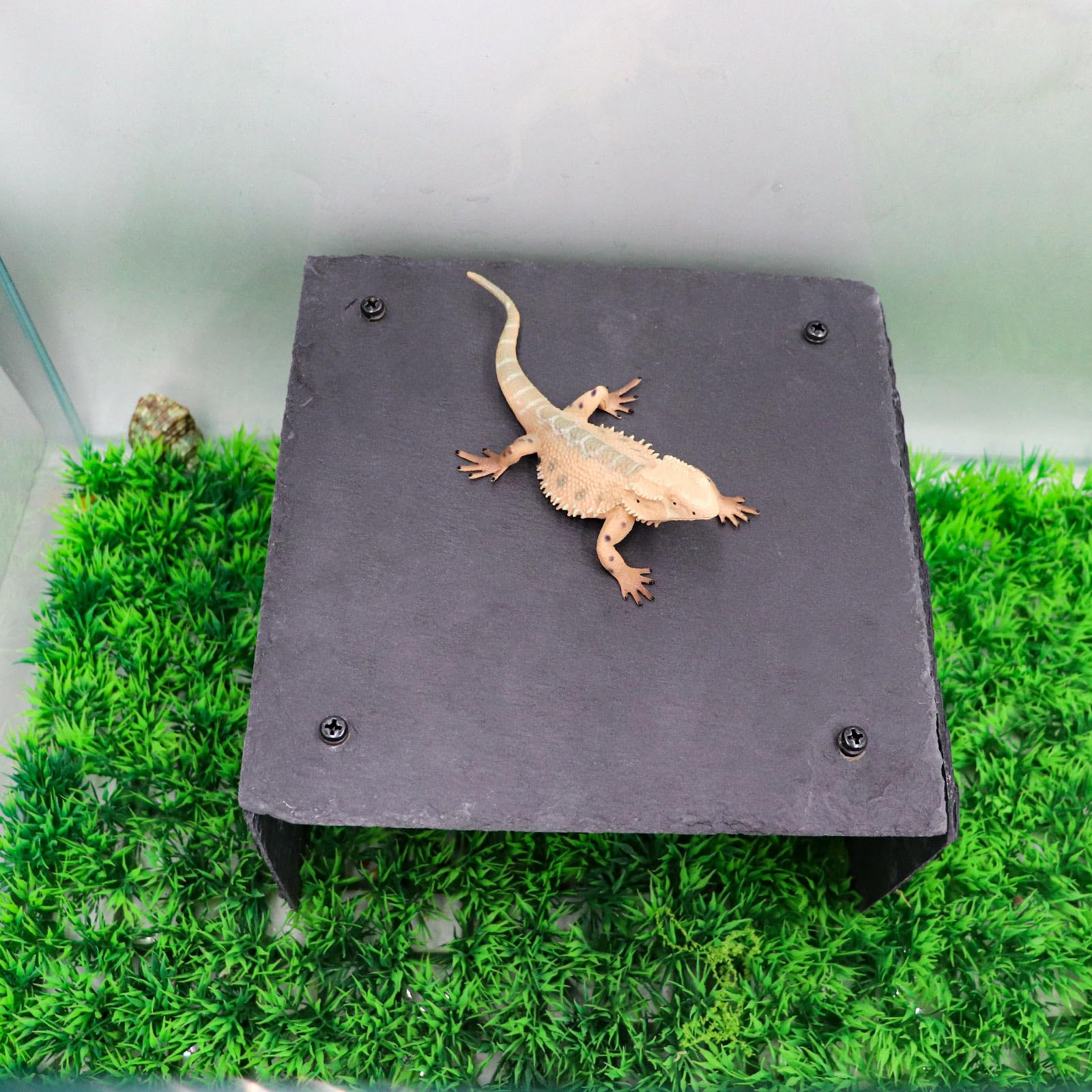 Accesorios para tanque de dragón barbudo, rocas de pizarra para reptiles, plataforma de dragón barbudo, piel de hábitat para dragones barbudos, tortuga, geco, serpiente y otros reptiles y anfibios