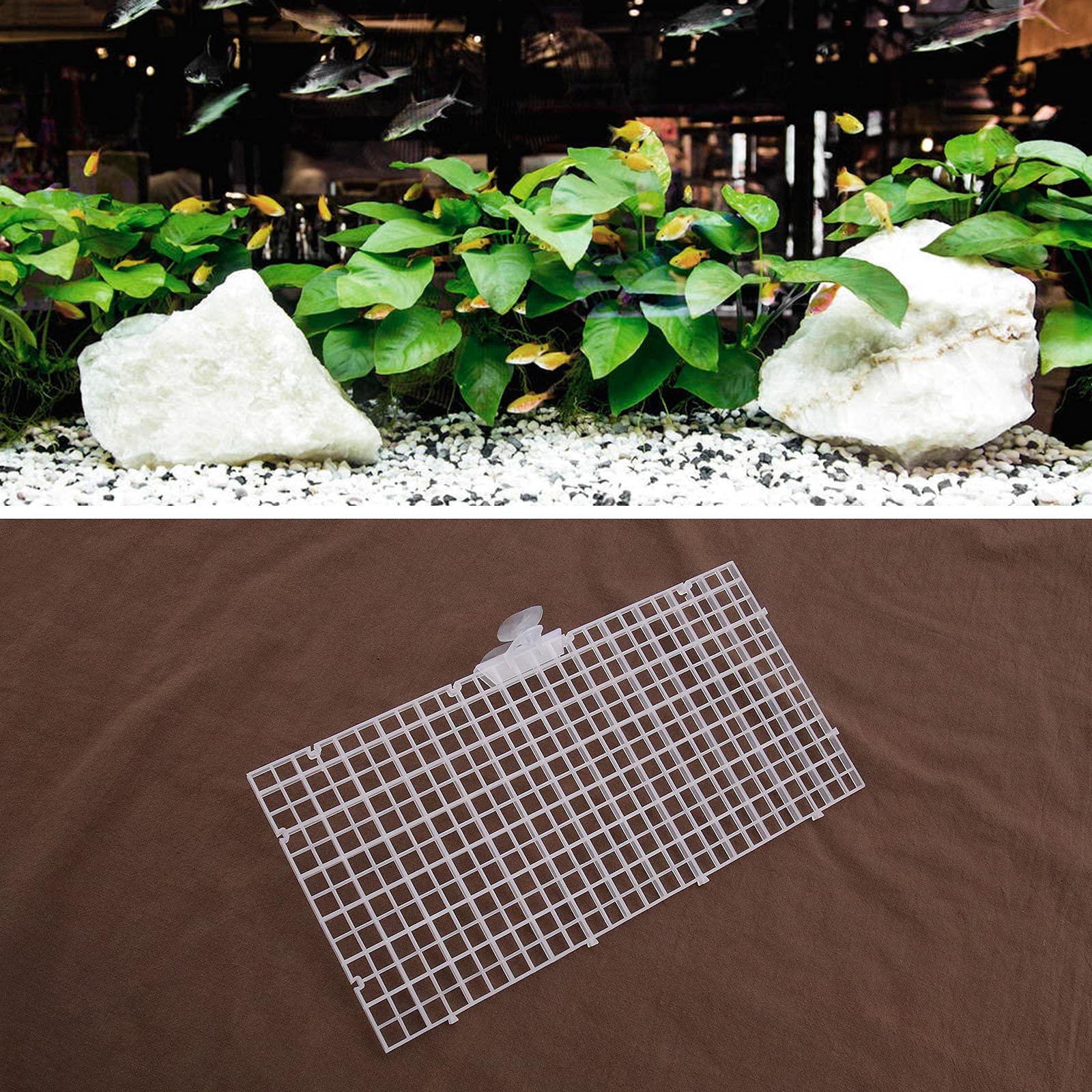 Lot de 10 panneaux d'isolation pour aquarium - Transparents - Mélange d'élevage - Pour protéger les différents poissons de la lutte - 20 clips à ventouse