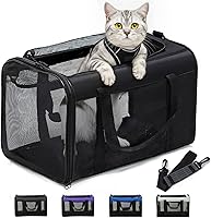 Conlun Airline Approved Soft-Sided Cat Carrier Bag - 4-Sided Mesh for Small/Medium Cats & Dogs Up to 15lbs, Collapsible Travel Carrier, Black, Medium