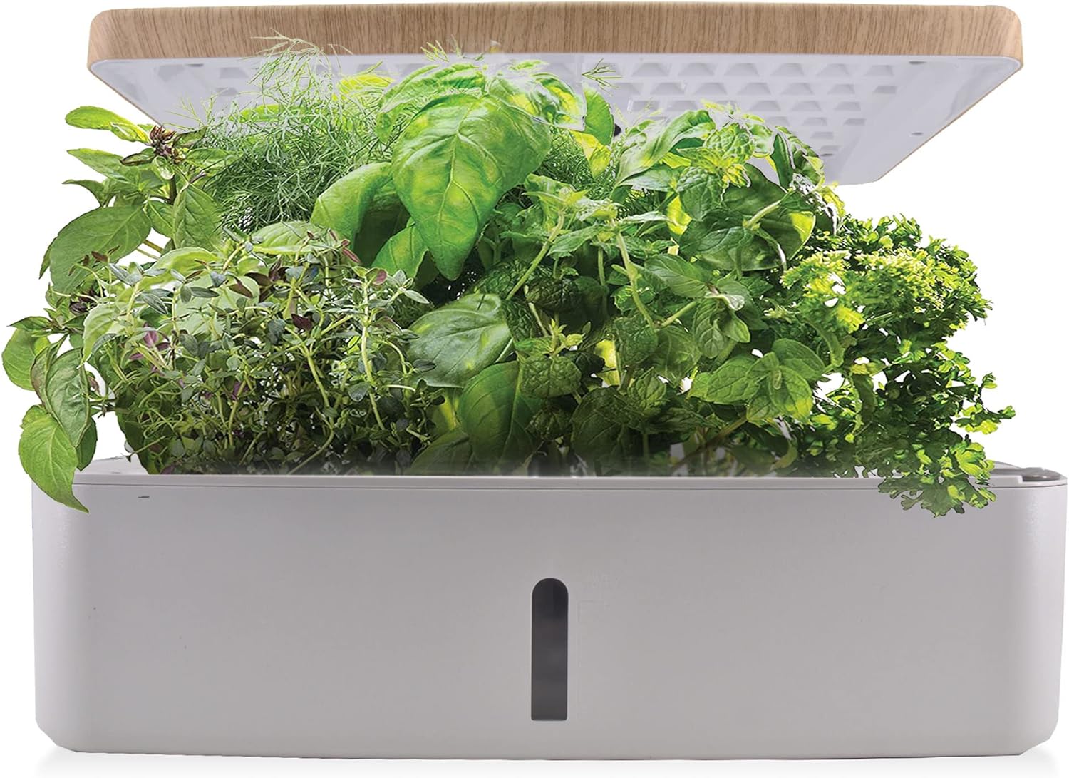 Smart Garden Hydroponics Growing System, Mini Herb Garden with Pump System, 14 Plant pods, 3 Planting Modes, 24 Hours Circulation of Water (No Seed), White