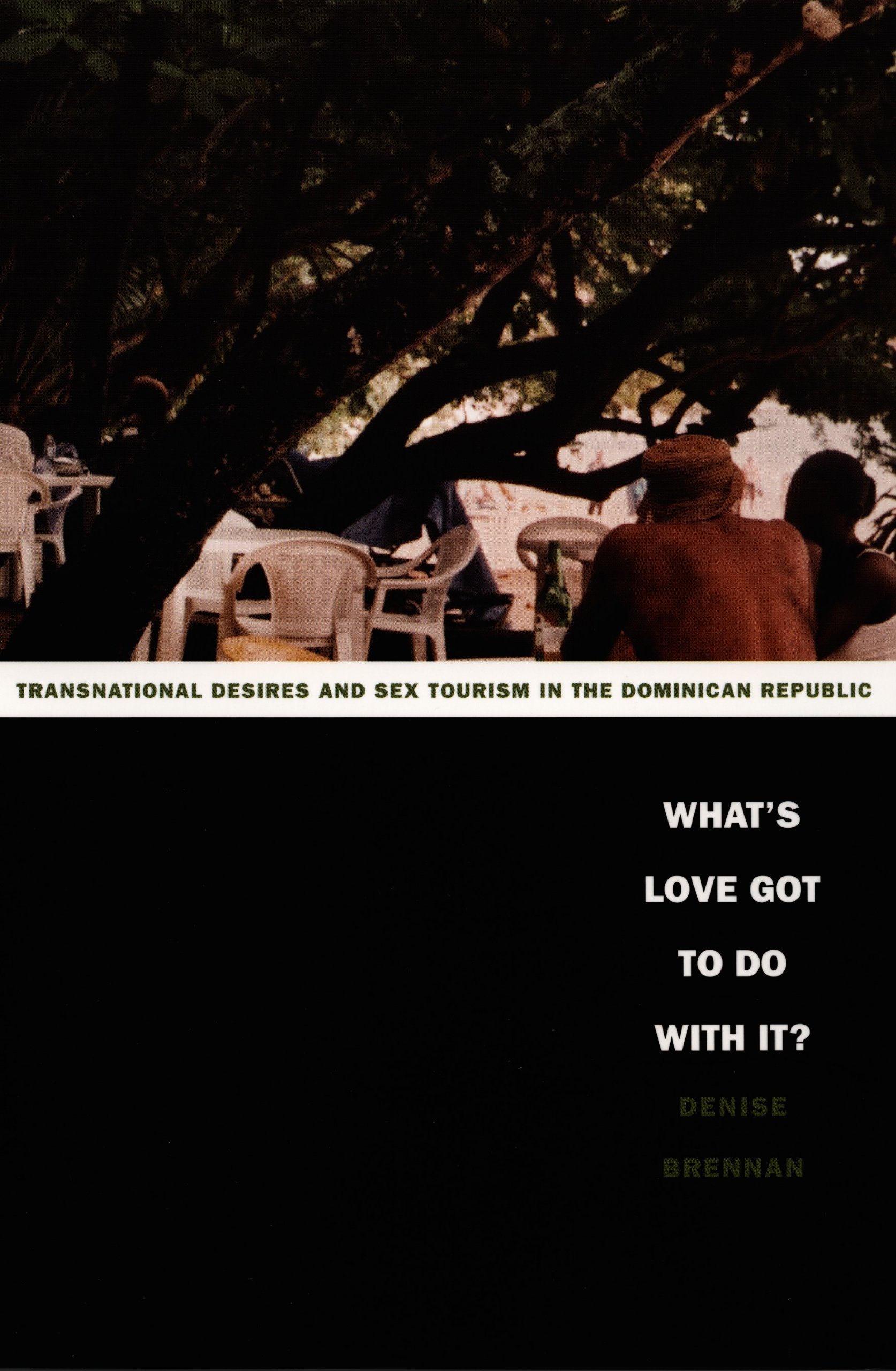 What’s Love Got to Do with It?: Transnational Desires and Sex Tourism in the Dominican Republic (Latin America Otherwise)