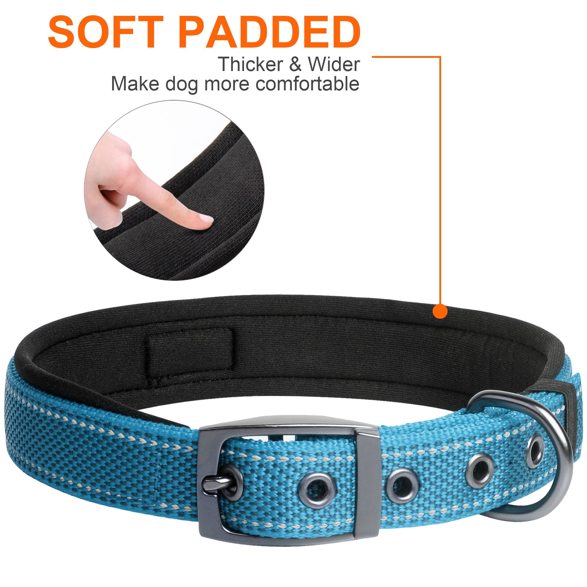 Fida Padded Dog Collar, Metal Belt Buckle Dog Collar with Double-Layer Webbing, Heavy Duty Collar for Small Dogs Blue - Image 2