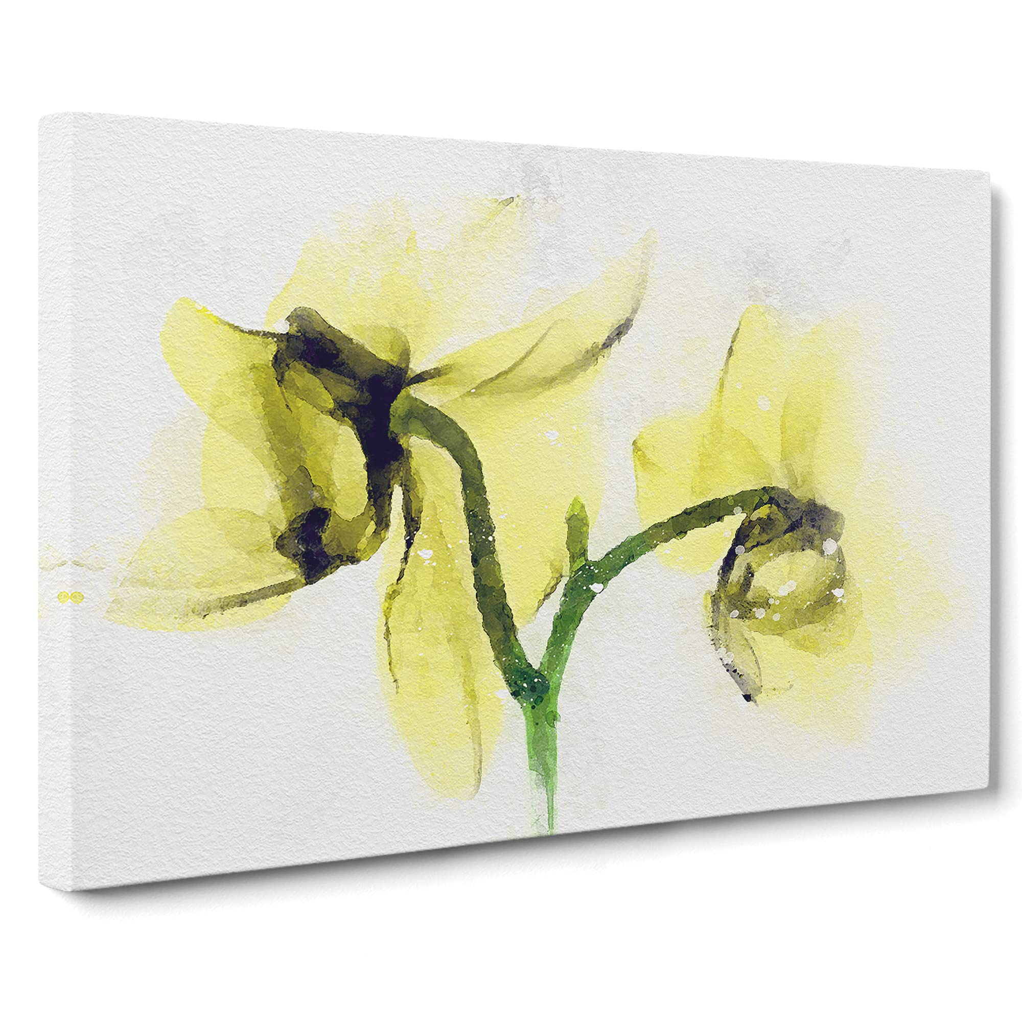 Yellow Orchid Flower Canvas Print, Mixed, 25L x 50W cm