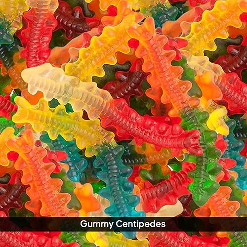 Miniatura 2 de NY Spice Shop Ciempiés gomosos  1 libra de caramelo gomoso  Gomitas de fiesta  Caramelo saludable a granel  Chewy Trendy Treat