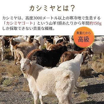 ナンバーナイン　カシミヤ100% ネックウォーマー ナンバーナイン ネックウォーマー カシミヤ100%
