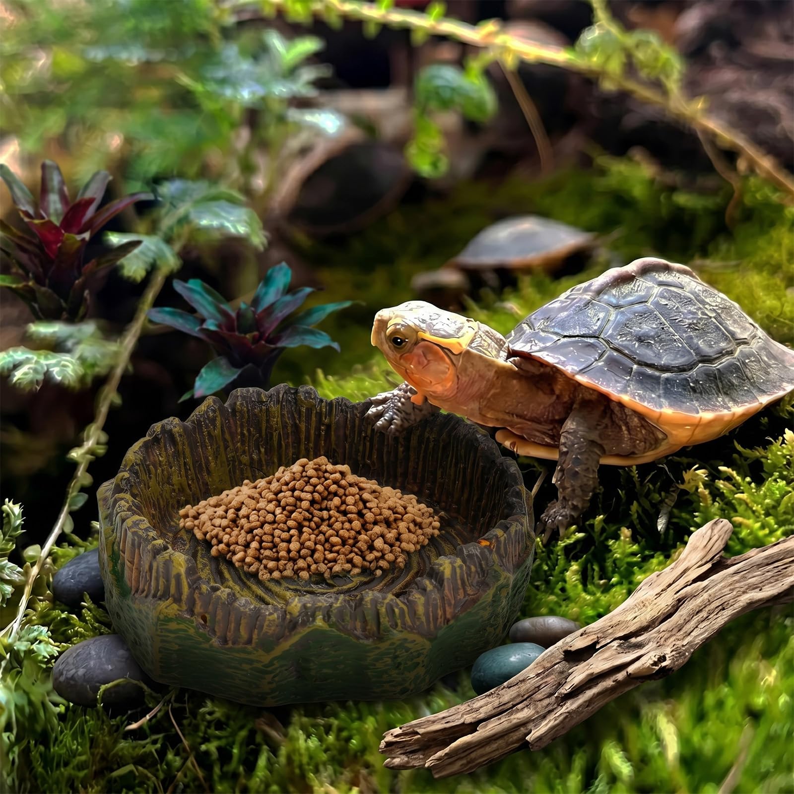 Cuenco de agua, terrario, cuenco de agua, reptiles, comedero para reptiles, terrario, tocón de árbol realista, decoración de terrario, 2 unidades para gecko, barba, lagarto, tortuga, hábitat — view 6
