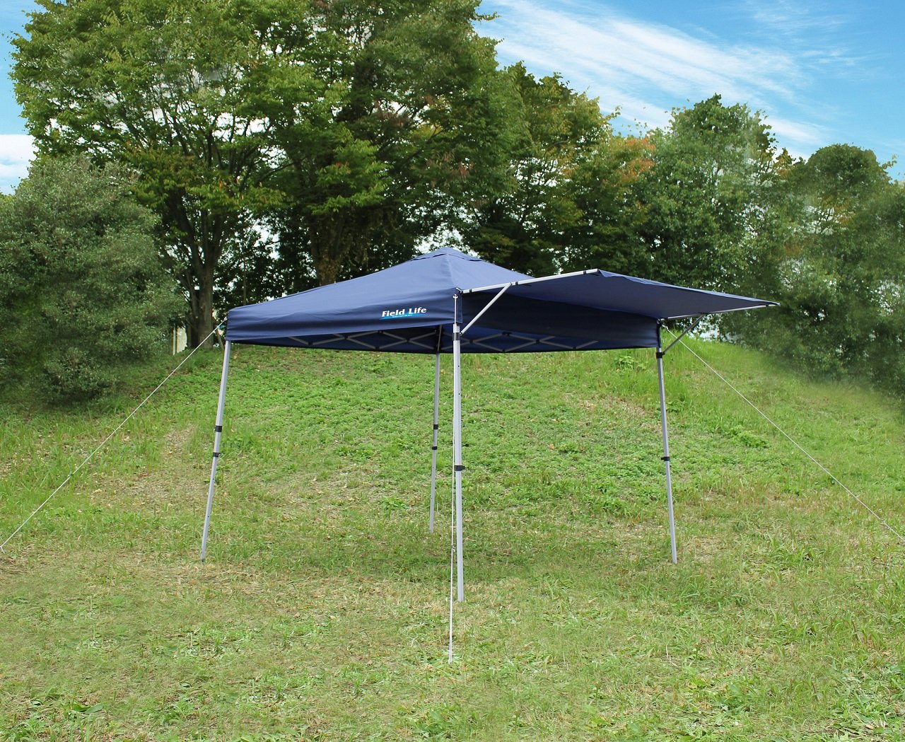 Amazon.co.jp: Field Life(フィールドライフ) ウイングワンタッチ