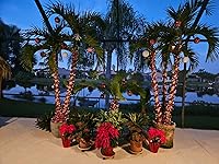 Review Image by Amazon Customer Amazon Customer