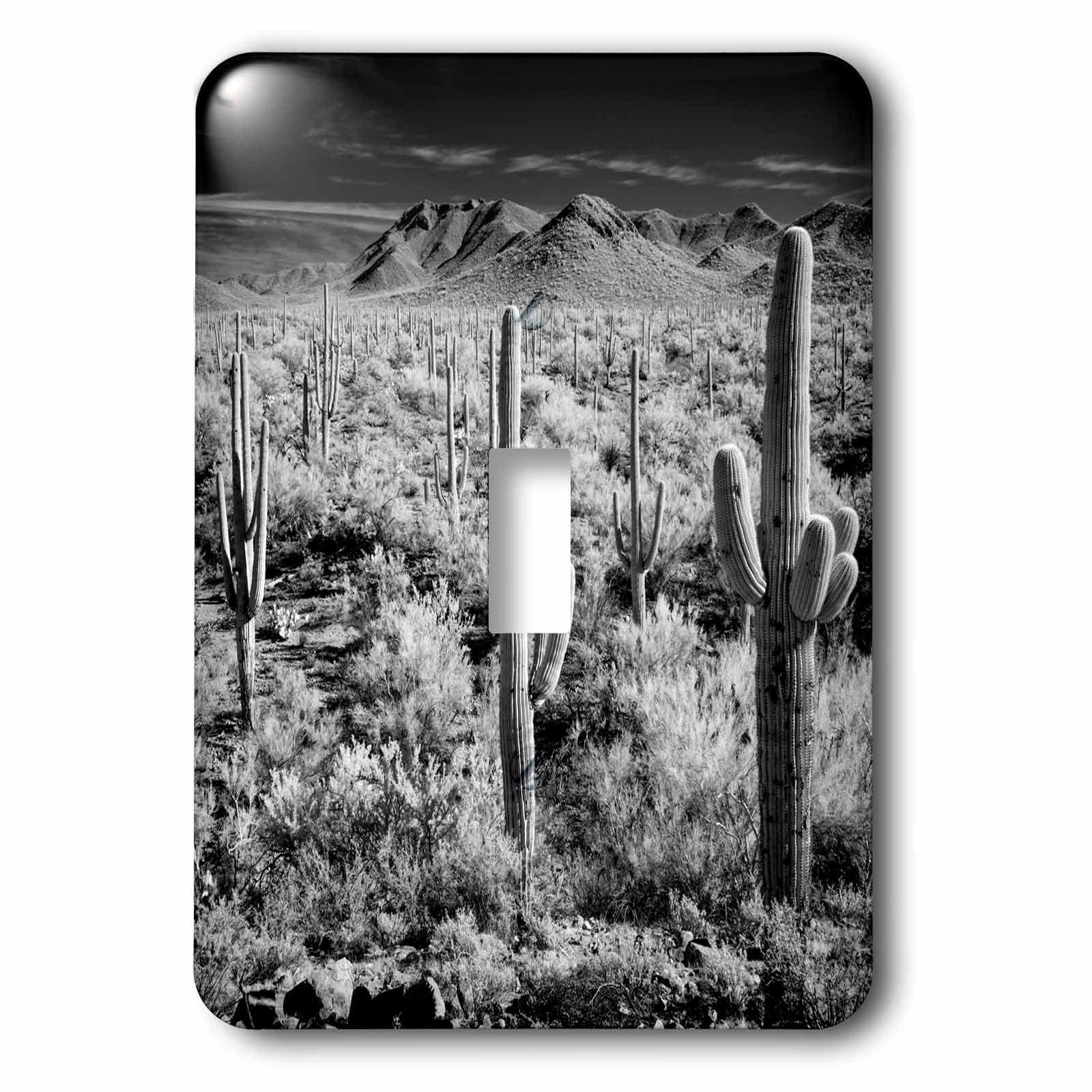 Interrupteur à bascule simple Tucson décor paysages du monde