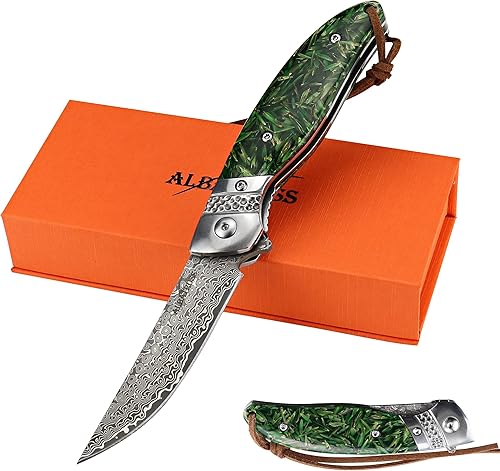 ALBATROSS Cuchillo de bolsillo plegable de Damasco  EDC premium con hoja de acero VG10, mango sintético verde, apertura asistida con rodamientos de