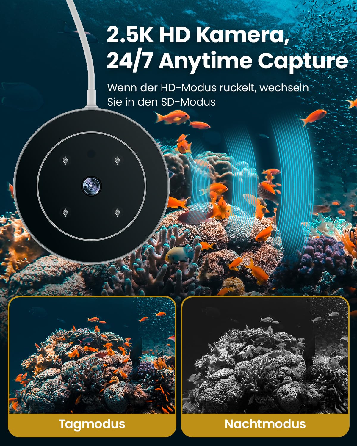 Futterautomat Aquarium mit Kamera, 2.4/5G WLAN App-Steuerung Visual Fischfutter Automat, 230ML Automatisierter Fischfutterautomat, Fischfutterspender, Tägliche/Urlaub Fütterung Aquarien
