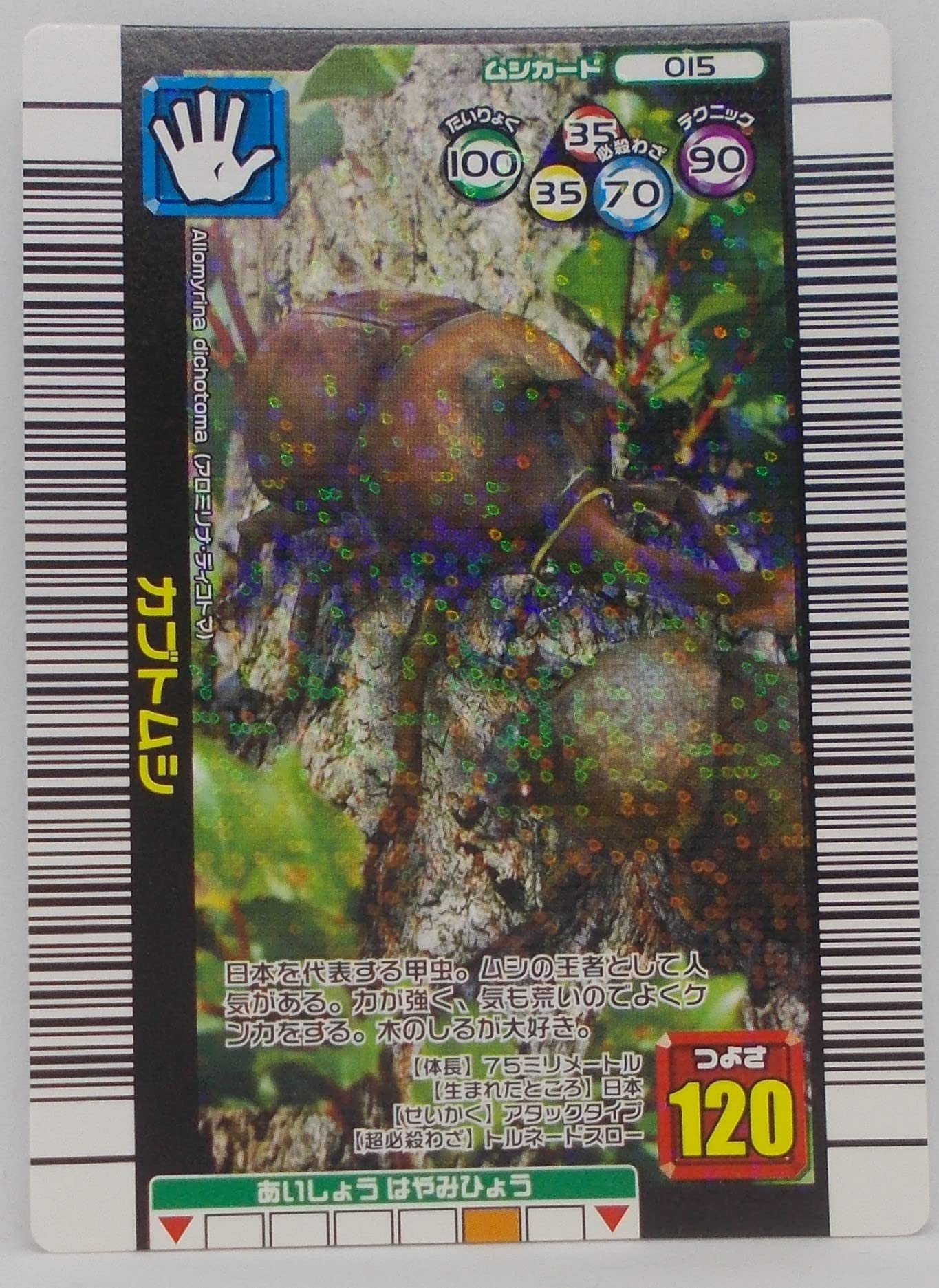 Amazon.co.jp: 【015-2006 夏ネイチャー】カブトムシ／甲虫王者