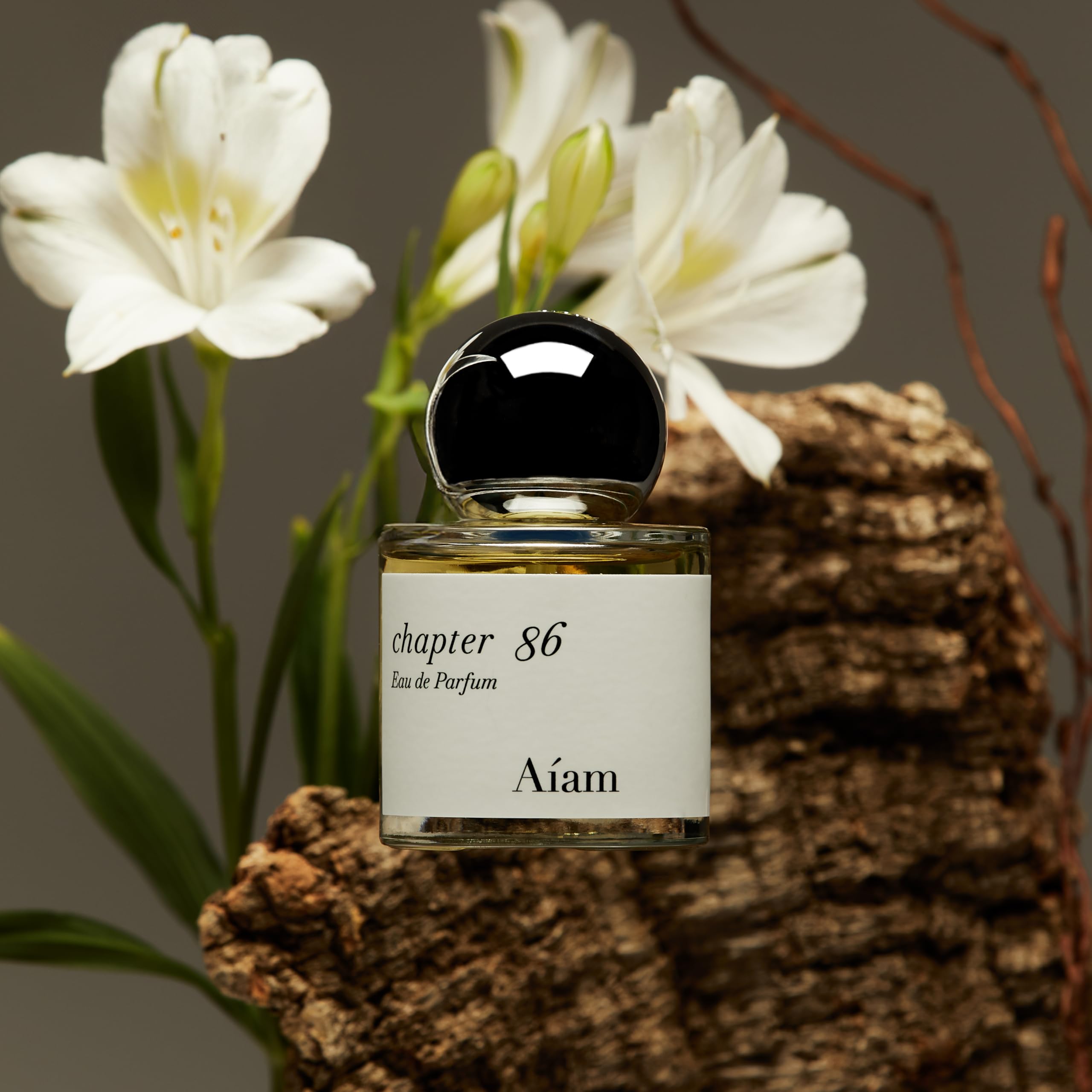 ⭐︎アイアム Alám chapter 86 Eau de Parfum Amazon.co.jp: Aiam アイアム Perfume Chapter Chapter 86 Woody