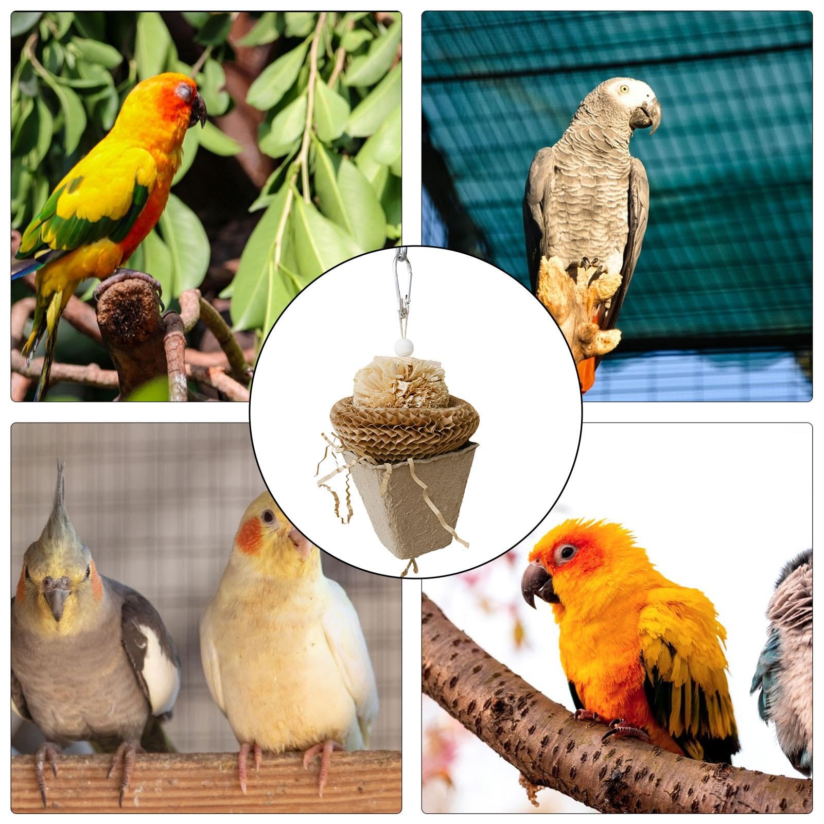 FRCOLOR Vogel Kauwend Foerageerspeelgoed Kleurrijk Papier Kauwende Vogelkooi Hanger Papegaaispeelgoed Speelgoed Voor Papegaaienbijten Kooi Vogel Speelgoed Houten Foerageren Sepak Takraw