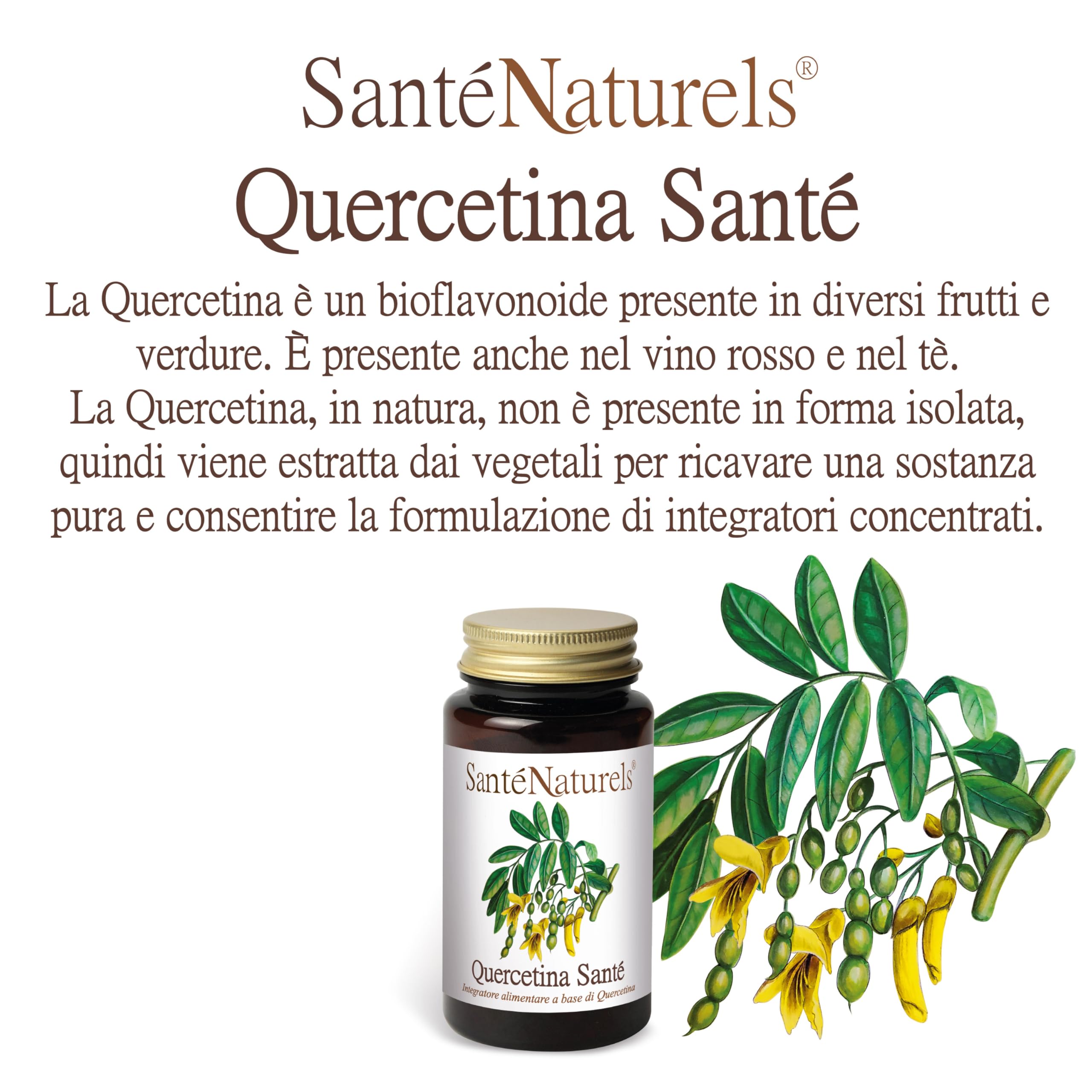 Quercetina Pura ● 90 Capsule Vegetali da 300 mg ● Integratore Alimentare di Flavonoidi Naturale ● Made in Italy