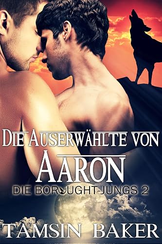 Die Auserwählte von Aaron (Die Borought-Jungs 2)