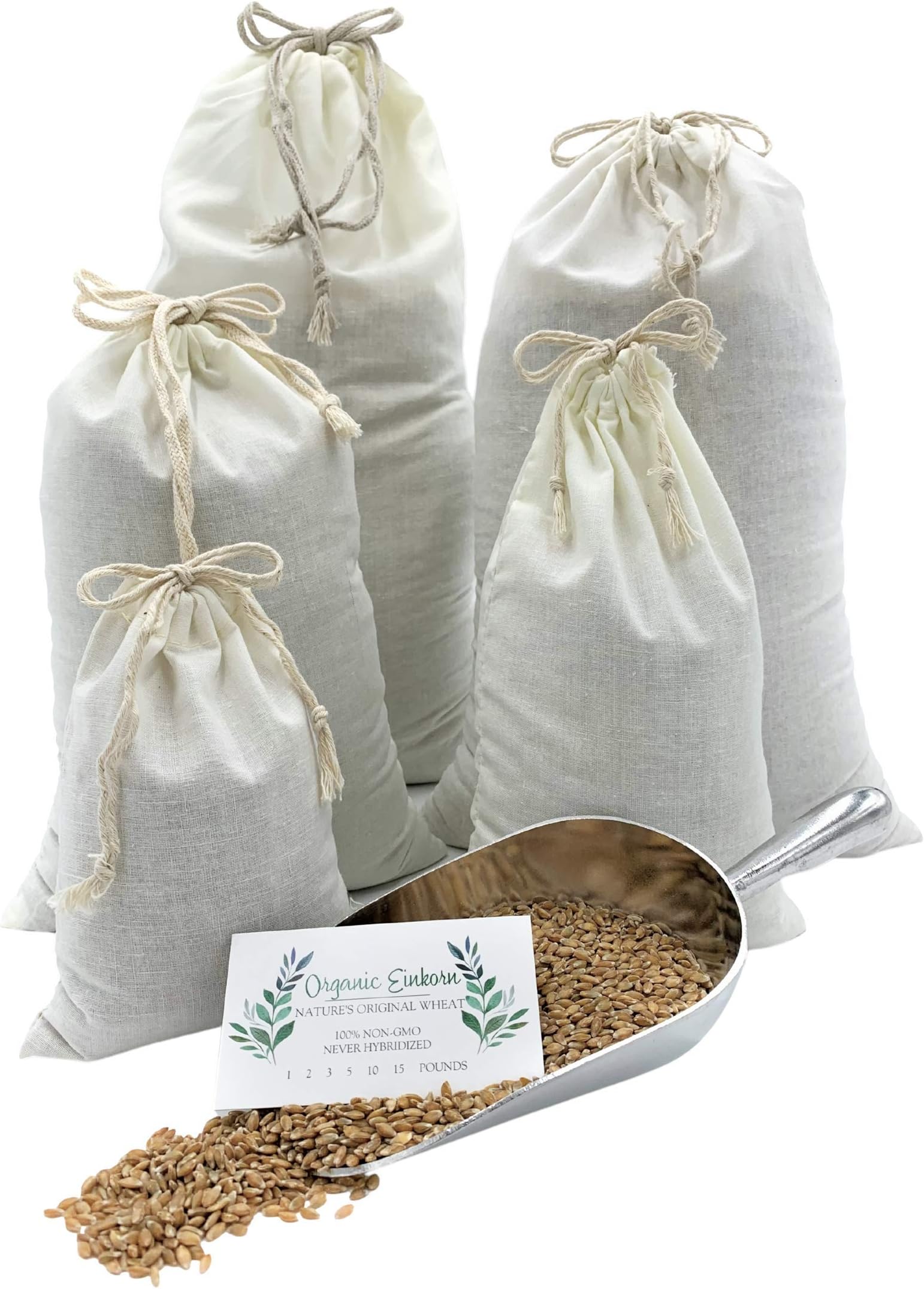 Organic Einkorn Whole Grain Farro Berries, USA Grown. Gluten Problems? Try Einkorn! Non-gmo. Original and Non-hybridized, Plastic-free Packaging (Einkorn Berries, 10 lb.)