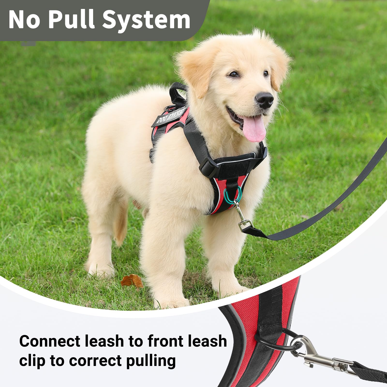 Belababy Dog Harness Small Medium Large - Image 4