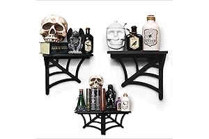 BELL BOOK AND CANDLE Floating Spider Web Shelves: Gothic Horror Bookshelf, Spooky Decor