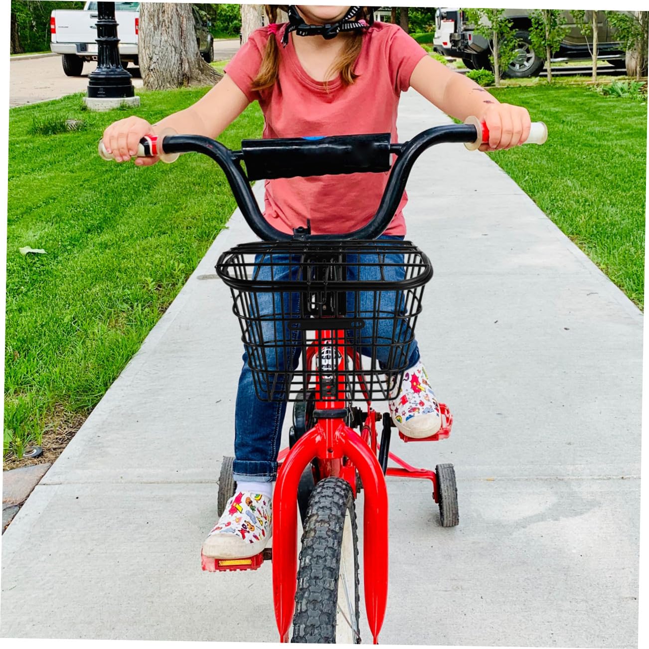 Cestino in Acciaio Inossidabile per Bici ed E-Bike Nero, Resistente alla Corrosione Ampio Spazio e Accessori per Installazione