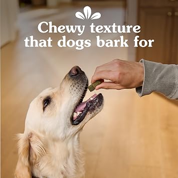 Greenies Anytime Bites Dog Treats, Blueberry Flavor, Dog Training Treats, 24 oz. Bag