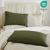 Vista 46 de PHF Fundas de almohada 100% algodón con tejido de gofre de 24 x 24 pulgadas, paquete de 2 fundas cuadradas para decoración elegante del hogar, sin
