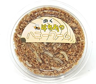 ハニーワーム（生き餌）