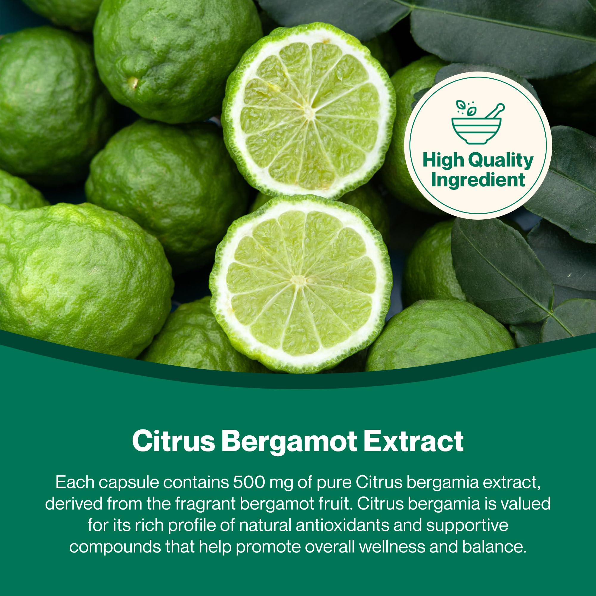 Hepatica Extracto de Bergamota (Citrus Bergamia) 500 mg | 90 Cápsulas Veganas | Suministro para 3 Meses | Un Solo Ingrediente | GMP & laboratorio independiente