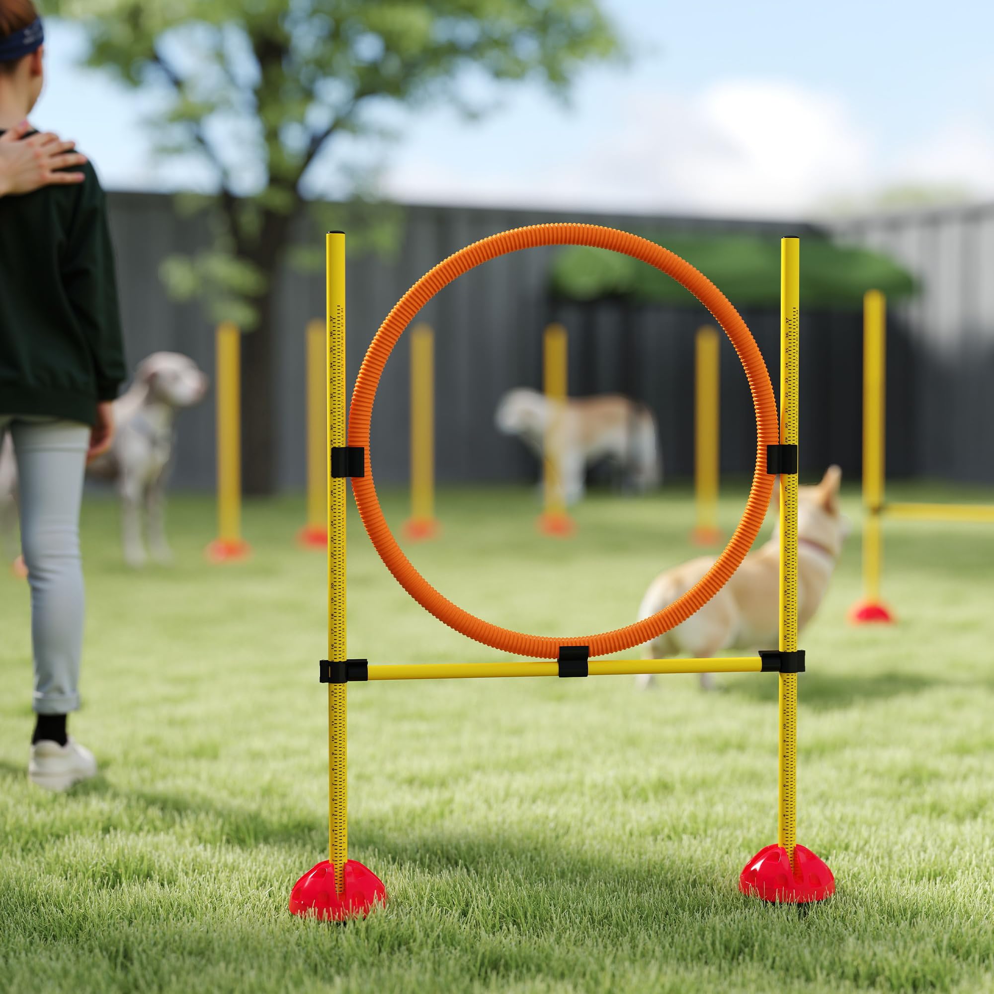 PawHut Set Agility Cani 4 pezzi riempibili per l'addestramento dei cani Set di ostacoli con pali per slalom, ostacoli regolabili in altezza, anello per il salto e la coordinazione per l'addestramento