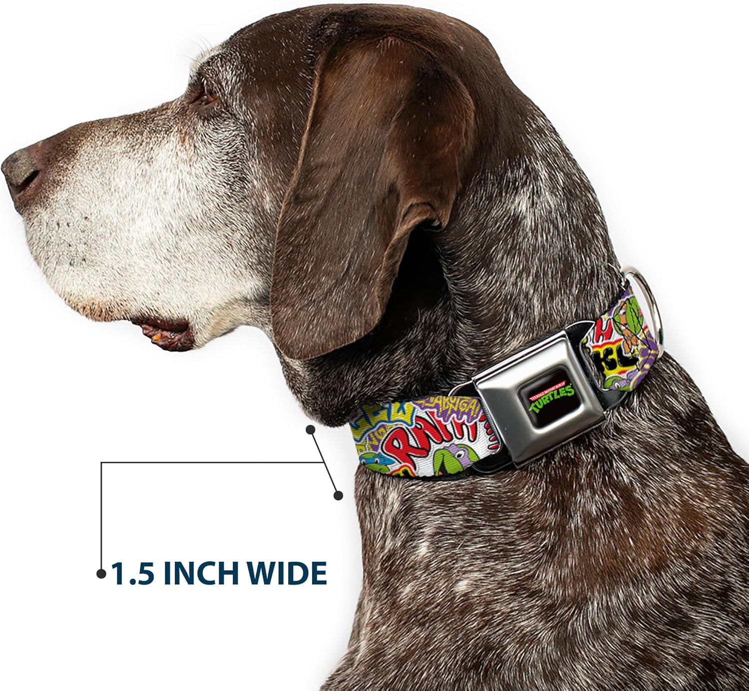 Nickelodeon Pet Collar, Dog Collar Metal Seatbelt Buckle, Teenage Mutant Ninja Turtles Sticker Slaps White Multi Color, 9.5 to 13 Inches 1.0 Inch Wide