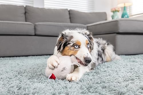 Miniatura 6 de Downtown Pet Supply Juguete de peluche 2 en 1 para perro, tiburón  Juguete de peluche para perro desgarrable con luz duradera en el interior para