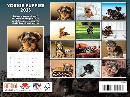 Vista 150 de Calendario Goldendoodle 2026 Golden Doodle mensual de pared calendario de 12 meses Fabricado en Estados Unidos