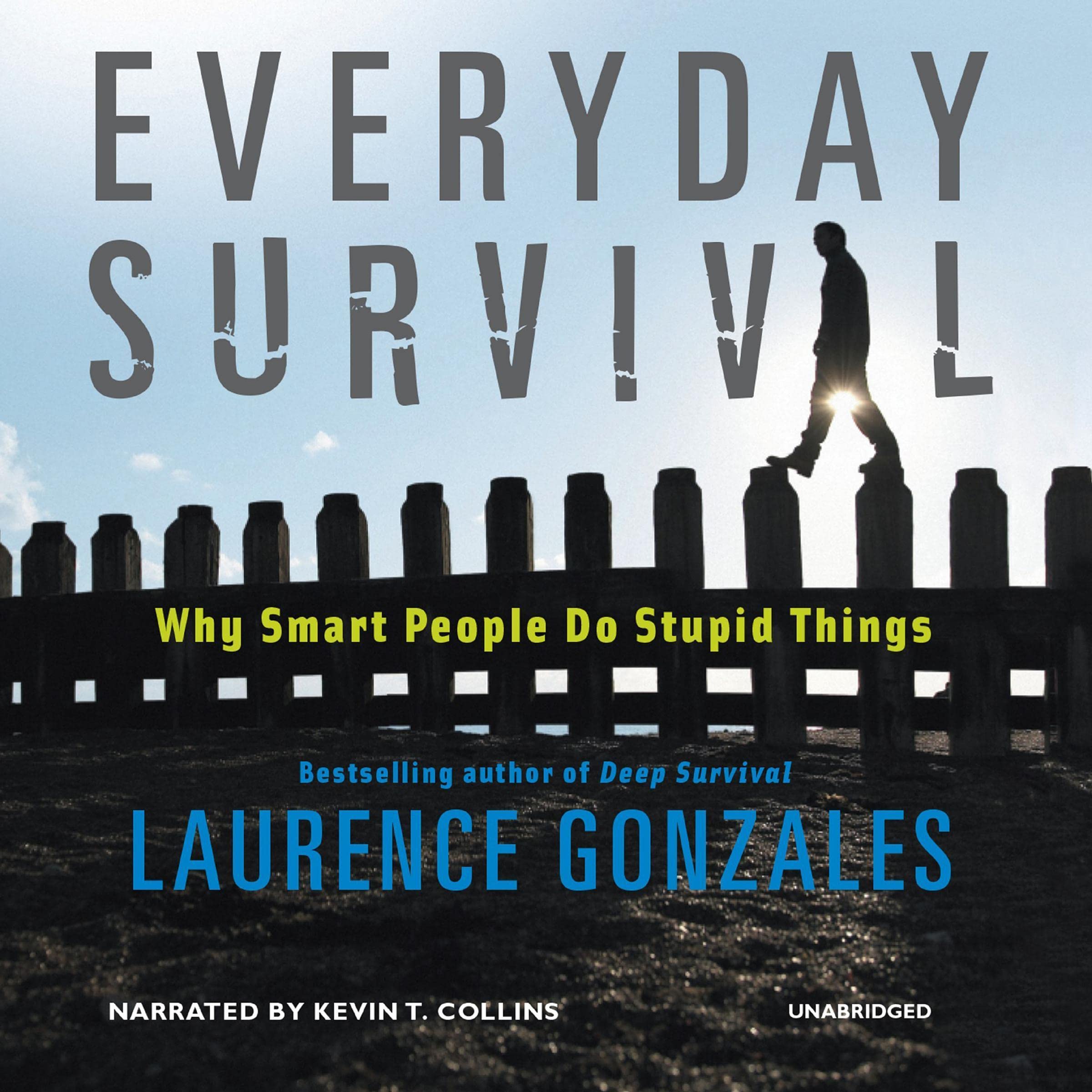Cover art for Everyday Survival