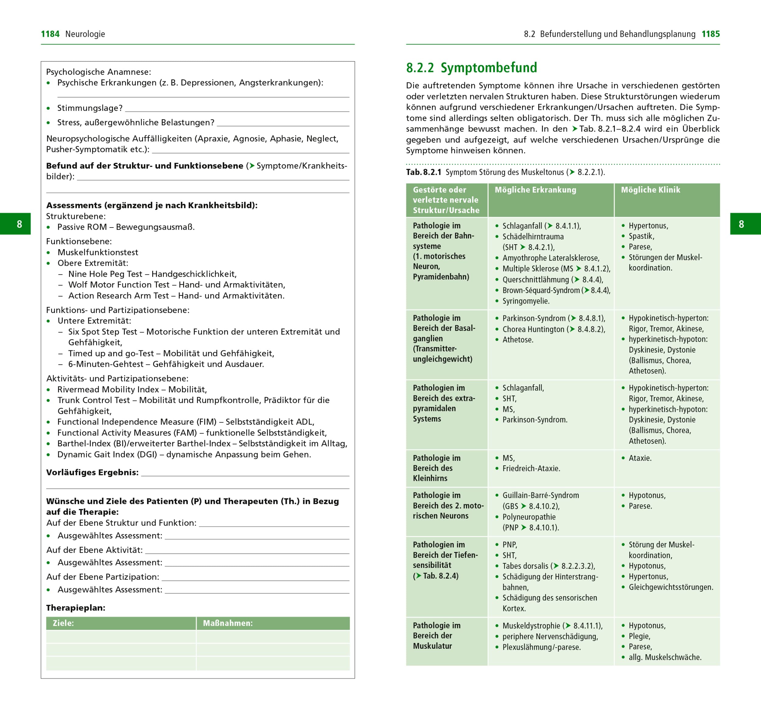 Handbuch Physiotherapie: Umfassend, aktuell, evidenzbasiert, praxisnah