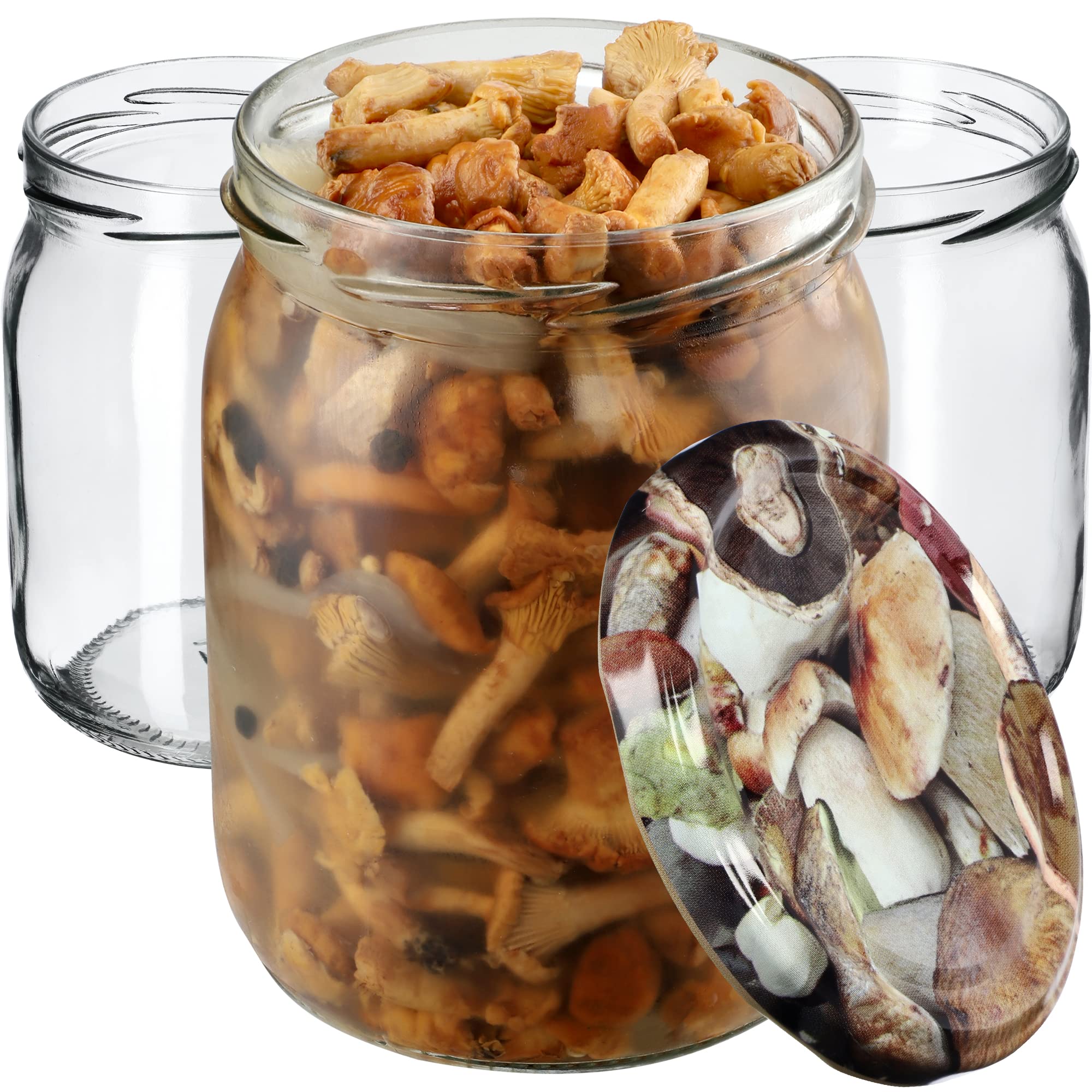 KADAX Juego de 48 tarros de 540 ml TO82, tarros de cristal con tapa de rosca, tarros herméticos Twist-off, Meal Prep, Overnight Oats, levadura madre