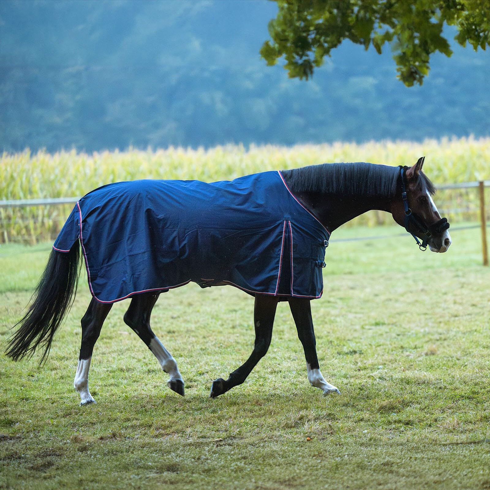 EQuest Outdoordecke Halifax für Pferde 600 D - 100 g Nylon, Navy